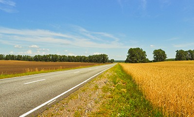 The road along the field