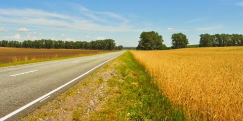 The road along the field