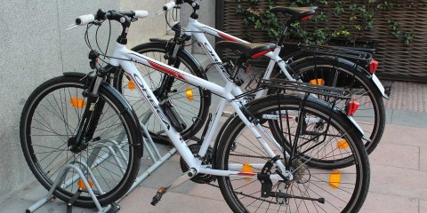 Bicis (1)